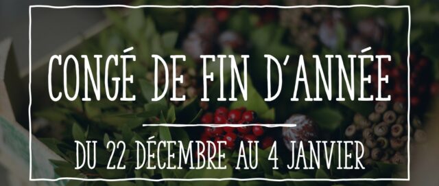 congé du 22 au 4 janvier terrehabitat